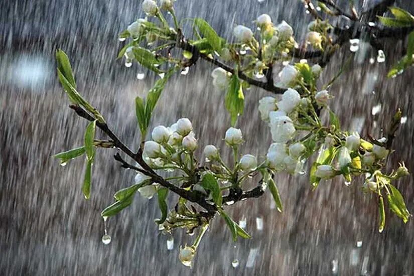پيش‌بيني بارش‌هاي رگباري و افزايش دما در آذربايجان‌شرقي